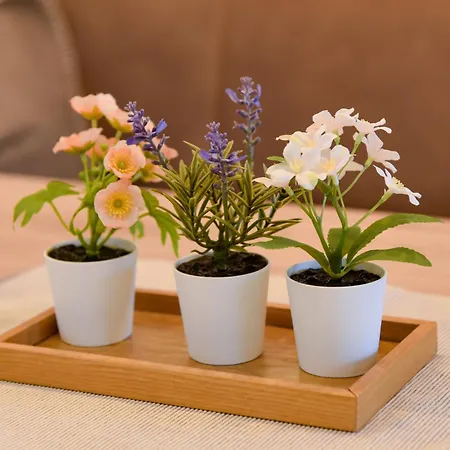 Mountain View Mit Blick * Ίνσμπρουκ