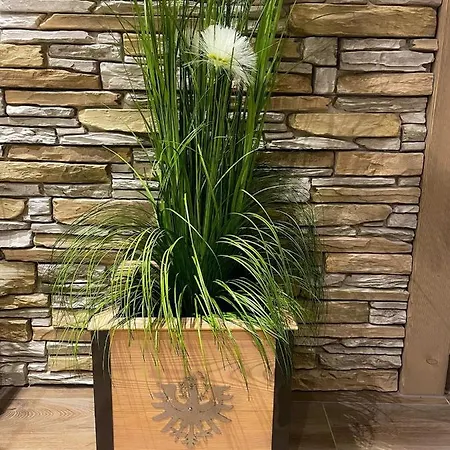 公寓 Mountain View Mit Blick *