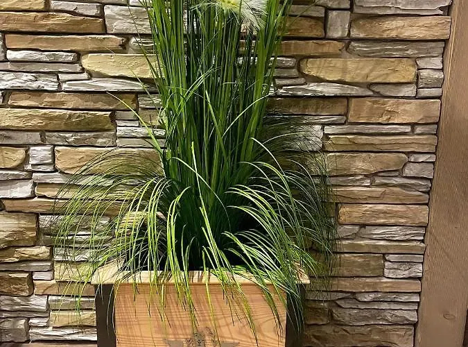 公寓 Mountain View Mit Blick *