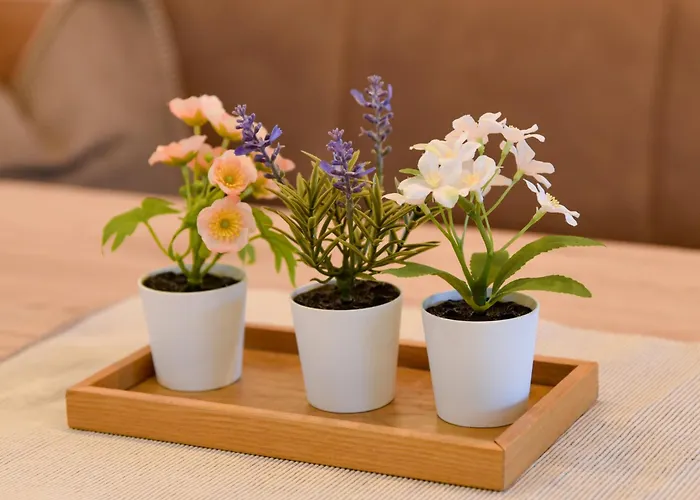 Mountain View Mit Blick * Innsbruck